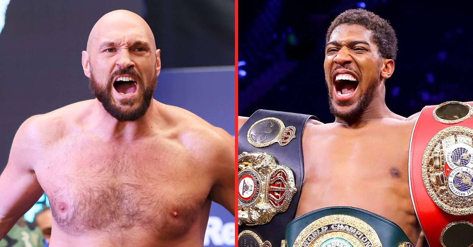 Joshua and Fury shouting